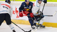 hokej red 3 GEPA-20210814-101-109-0016